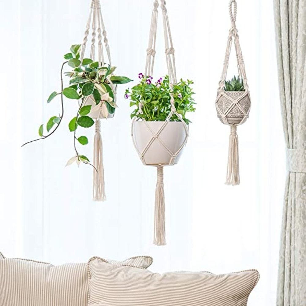 Macrame Plant Hanger